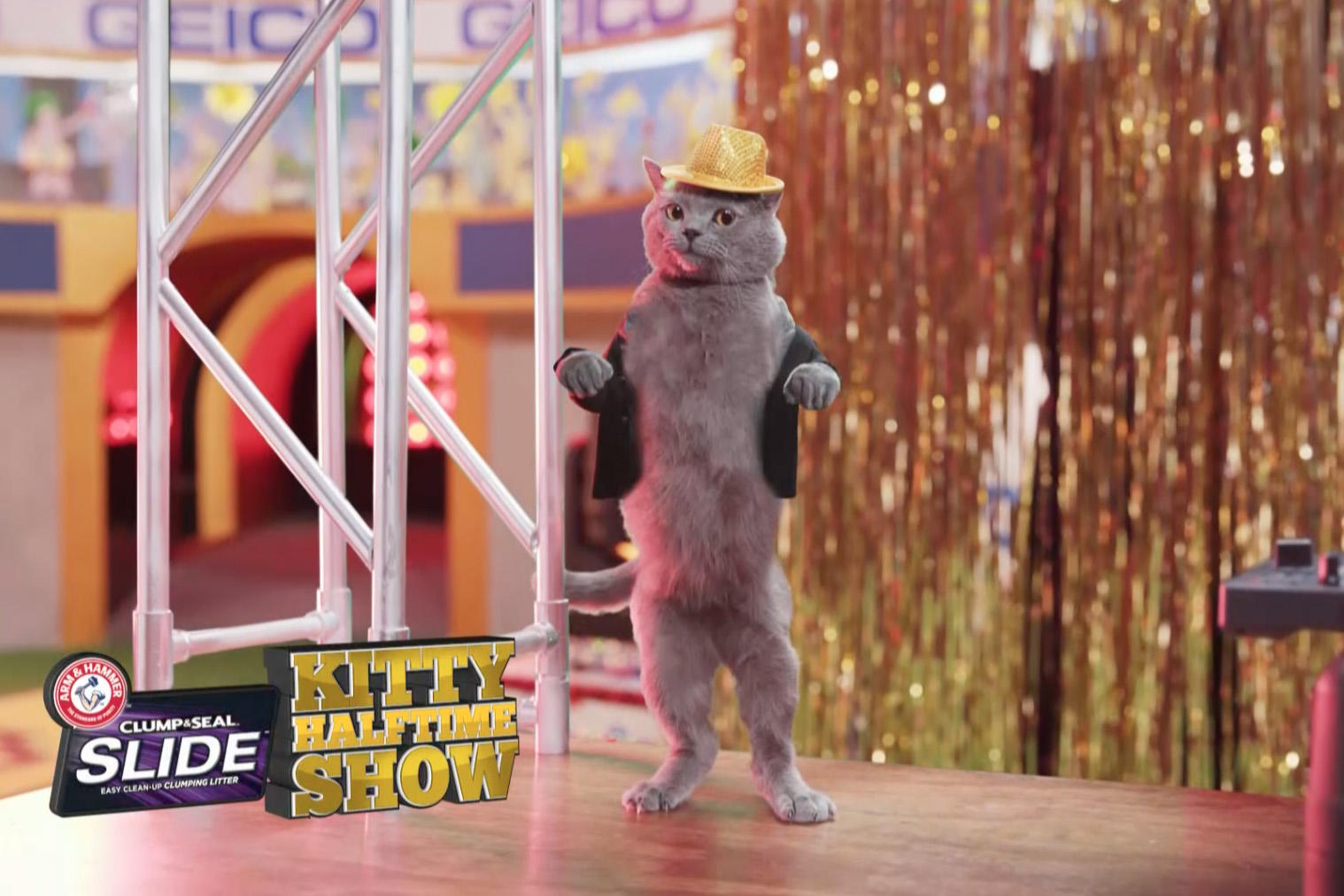 Arm and Hammer Slide Kitty Halftime Show Puppy Bowl Animal