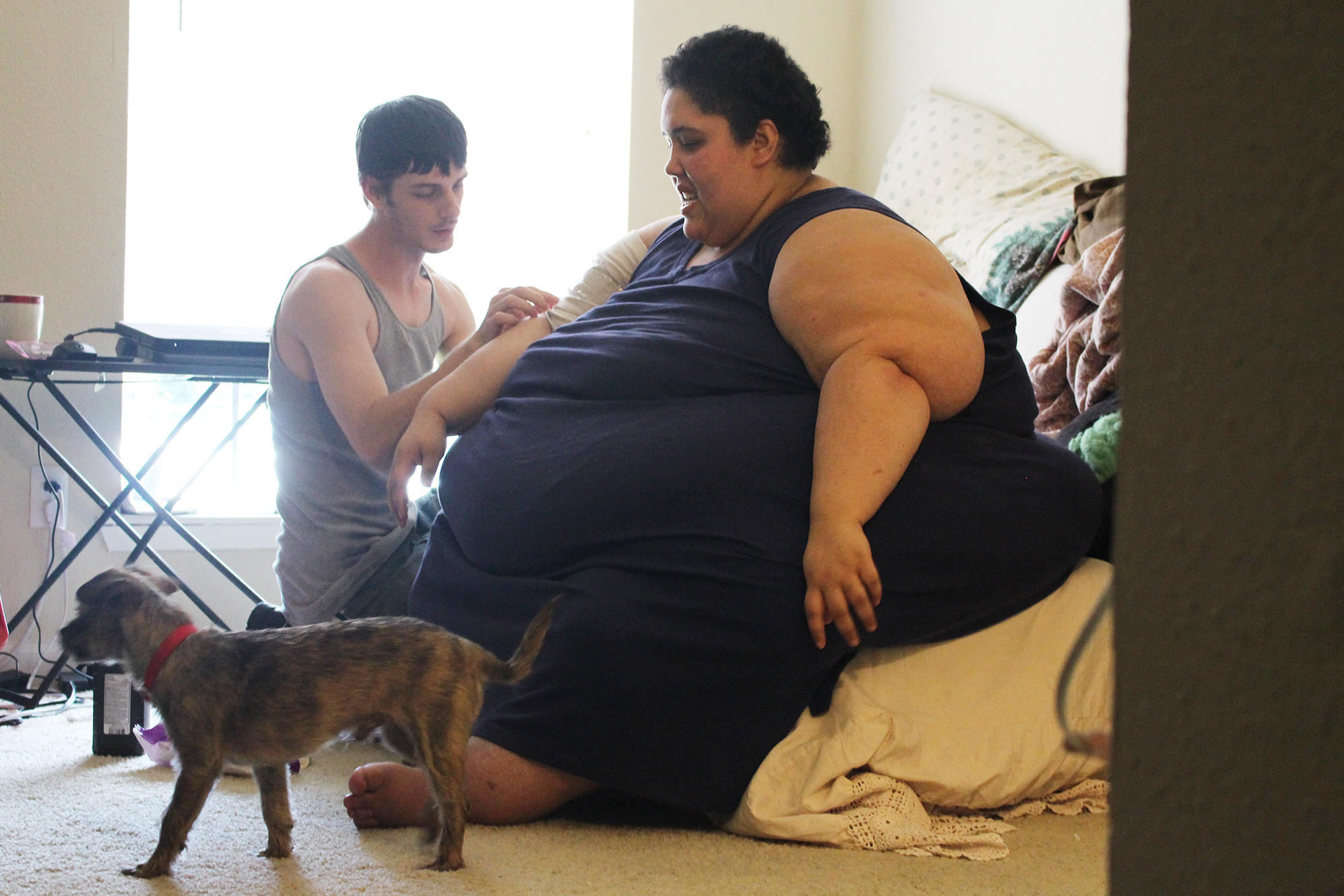Garcinia Cambogia Dollar Tree Reviews Garcinia cambogia dollar tree reviews