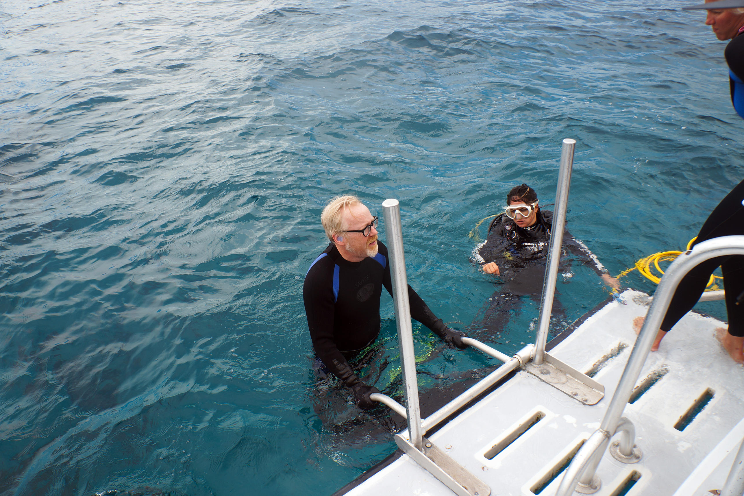mythbusters jaws special mythbusters jaws special