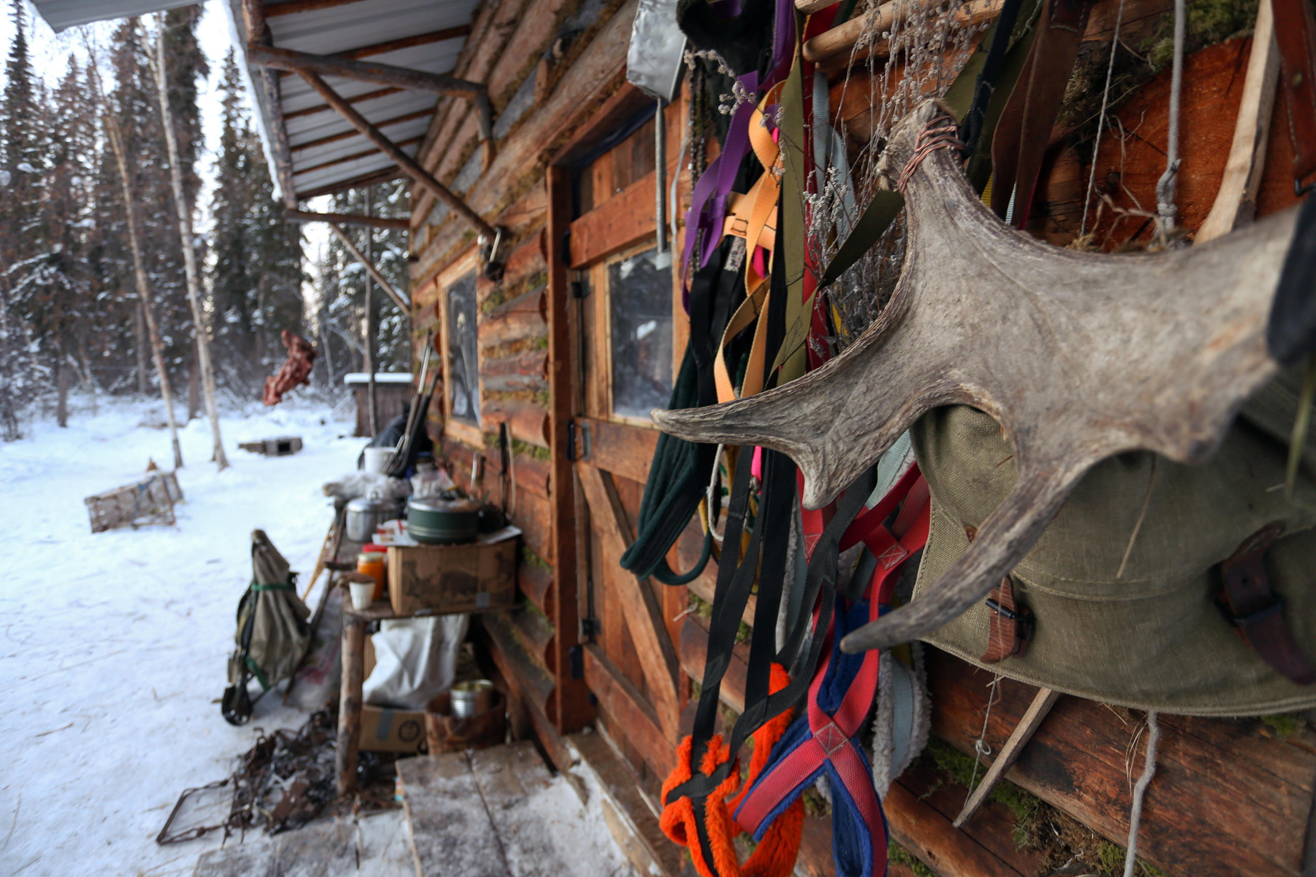 The Lewis Family'S Eye Condition: A Last Alaskans Tragedy? - ugx3au5