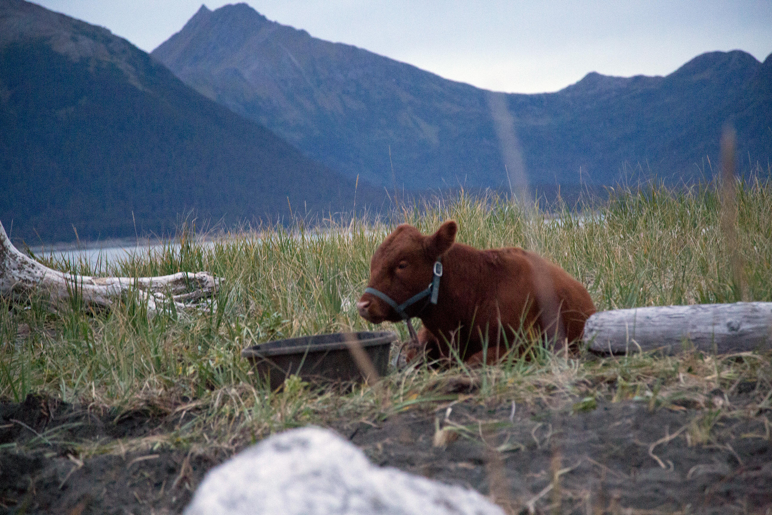 Journey to Perl Island Alaska The Last Frontier Discovery
