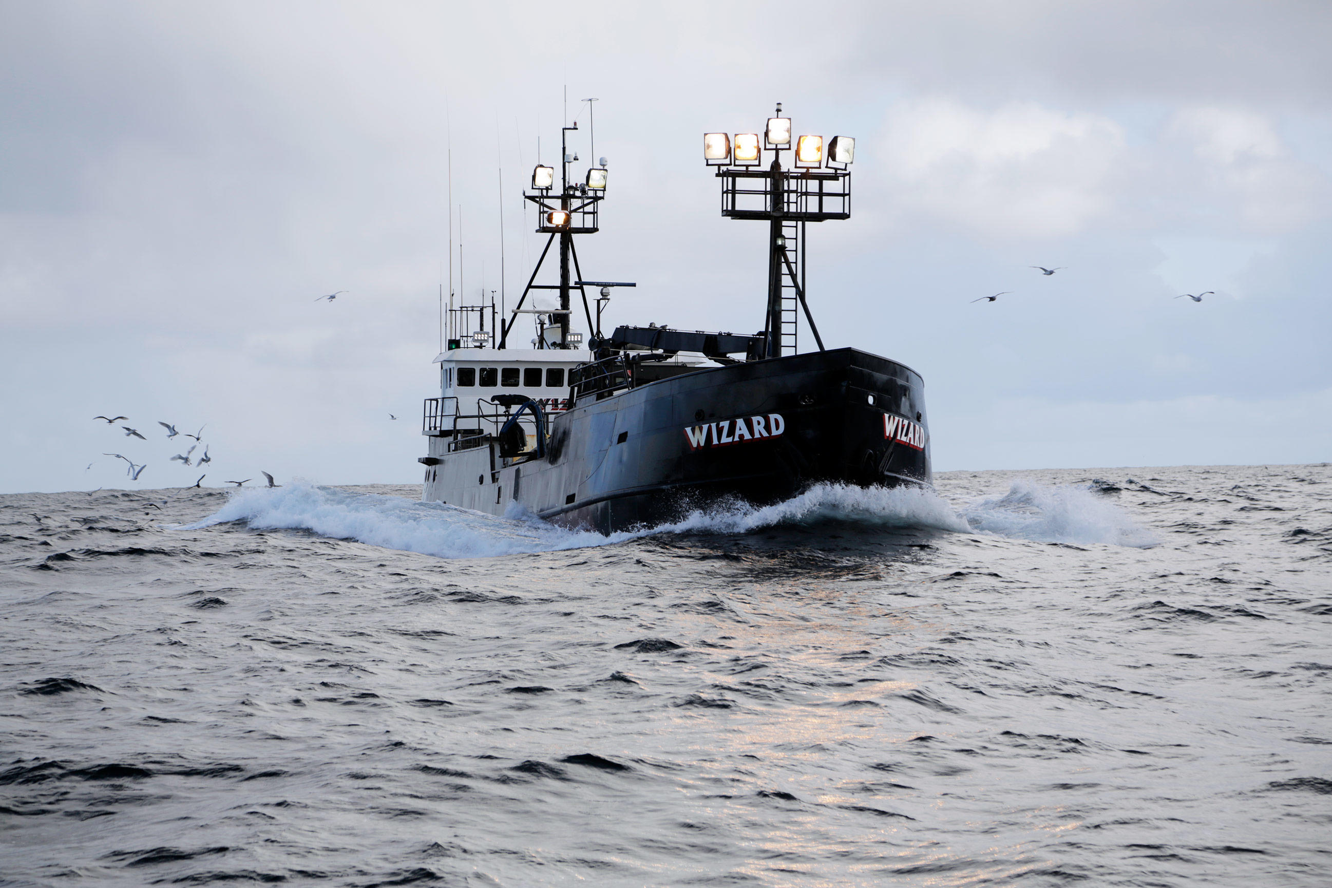 Wizard Photos (2014) Deadliest Catch Discovery