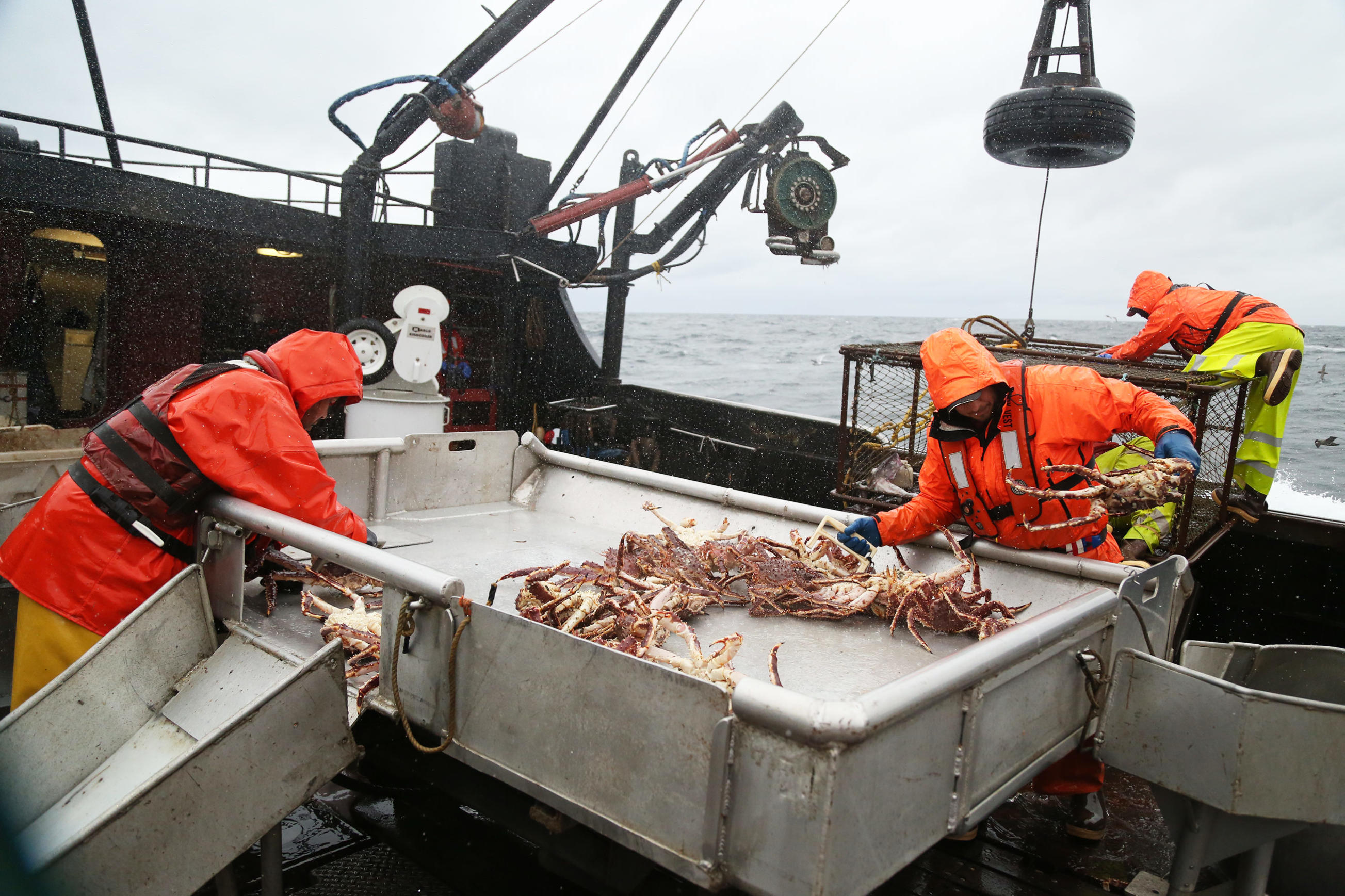 Seabrooke Photos (2014) Deadliest Catch Discovery