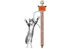 Top 10 Hot Holiday Gifts For Cats Animal Planet