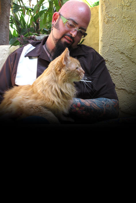 My Cat From Hell Tv Schedule My Cat From Hell Animal