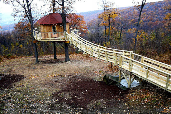 Treehouse Masters Irish Cottage black bear bungalow | treehouse masters | animal planet Treehouse Masters Irish Cottage black bear bungalow | treehouse masters | animal planet