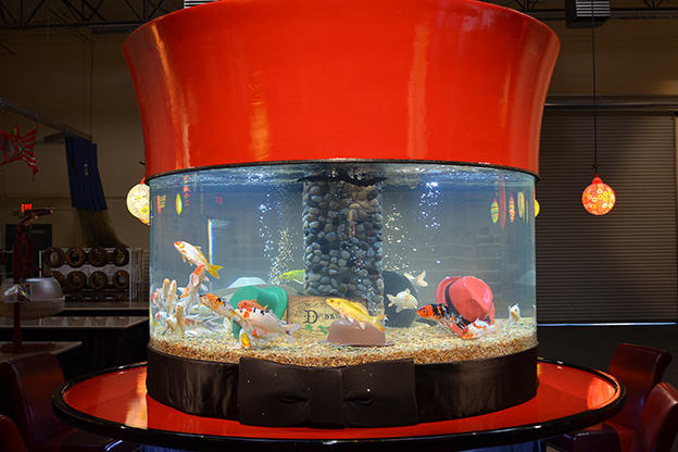 the tanks of tanked