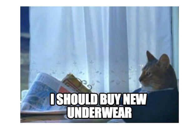 I Should Buy A Boat Cat Animal Planet
