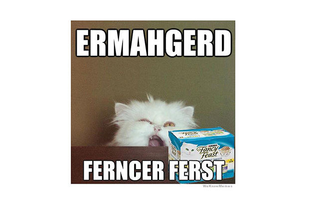 Lol Cats Animal Planet