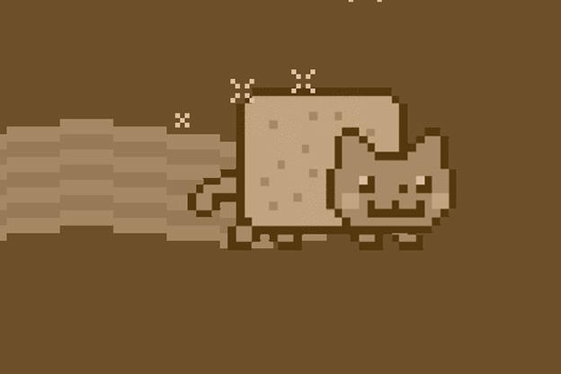 Nyan Cat Animal Planet