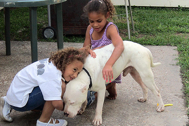 Scenes From Season 4 Pit Bulls And Parolees Animal Planet