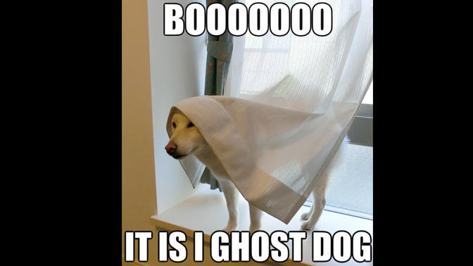 9 Memes That Prove Fans of Paranormal Have a Sense of Humor | The
