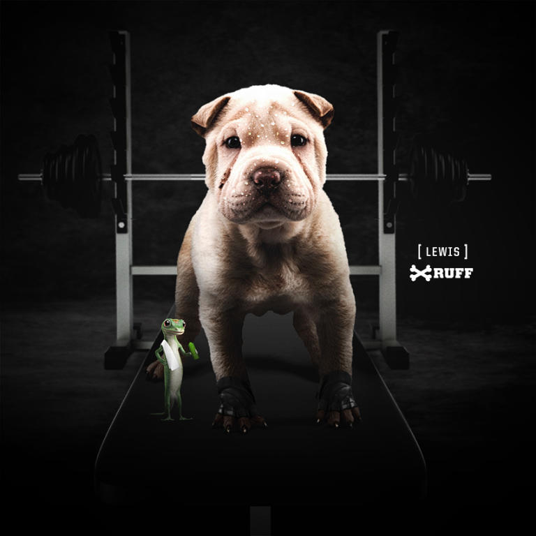 3_lewis_benchpressing