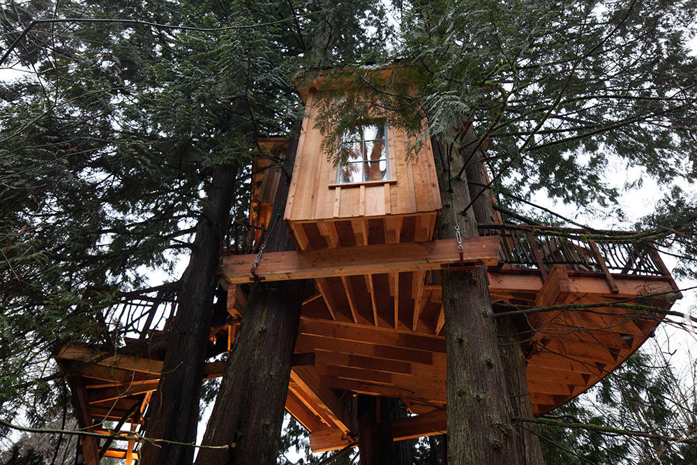 Treehouse Masters Irish Cottage ceelo visits the record high recording studio | treehouse masters Treehouse Masters Irish Cottage ceelo visits the record high recording studio | treehouse masters
