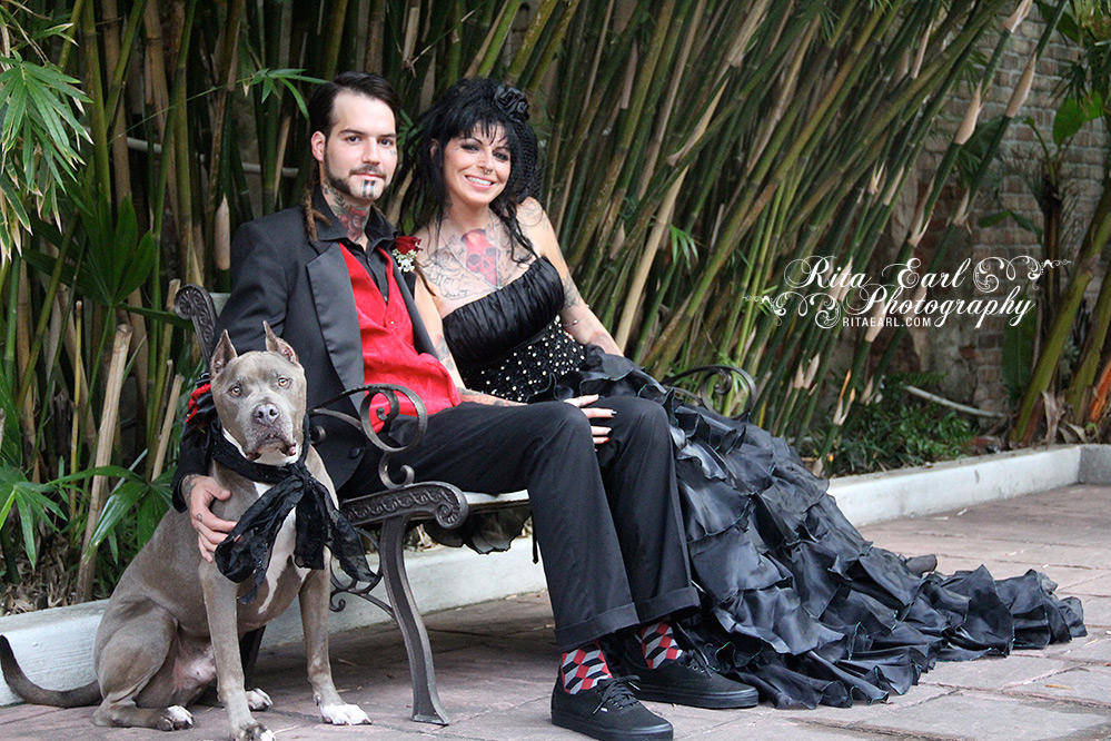 Wedding Album Tania and Perry, Hitched! Pit Bulls and Parolees