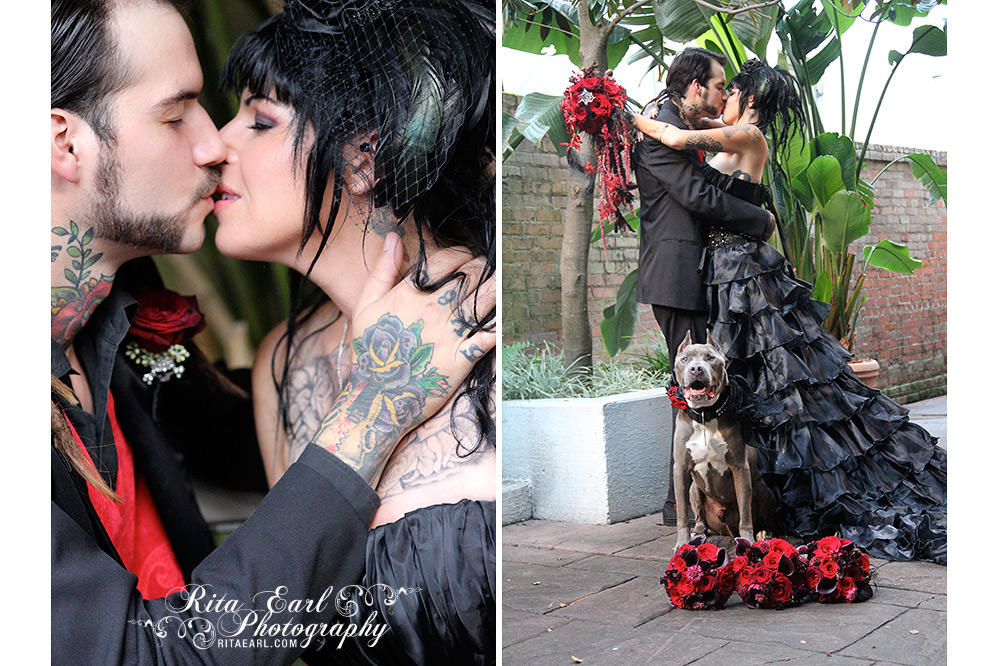 wedding album tania and perry hitched pit bulls and parolees animal planet