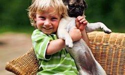 A Small Dog’s Cuddling Credo | Small Dogs | Animal Planet