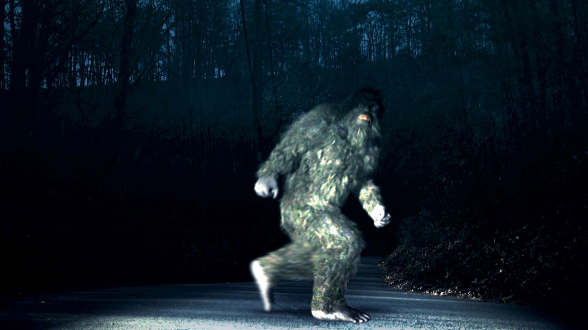 Find bigfoot steam фото 83