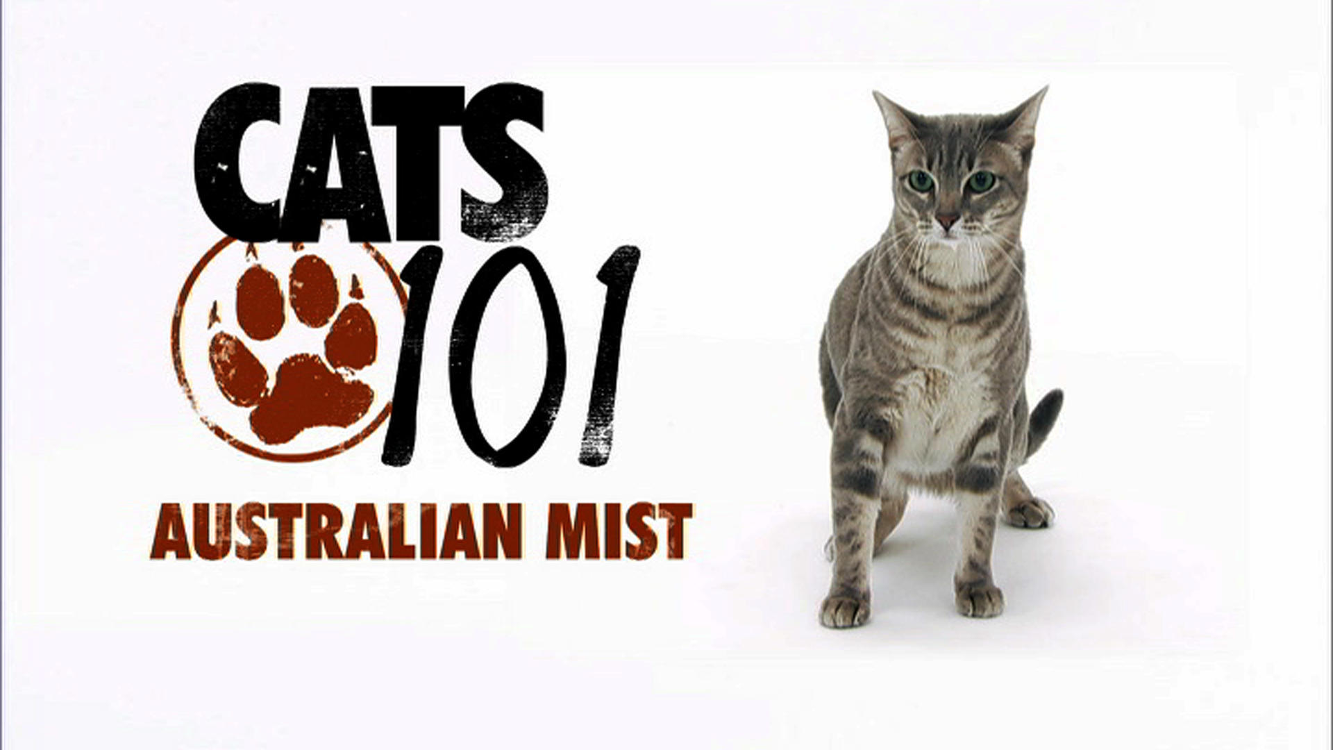 Cats Mist stamp