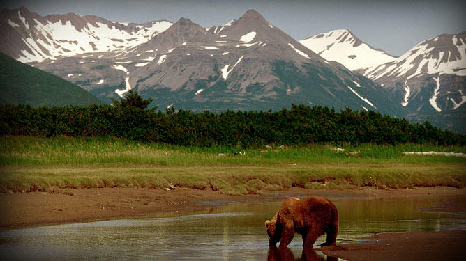 About Wild West Alaska | Wild West Alaska | Discovery