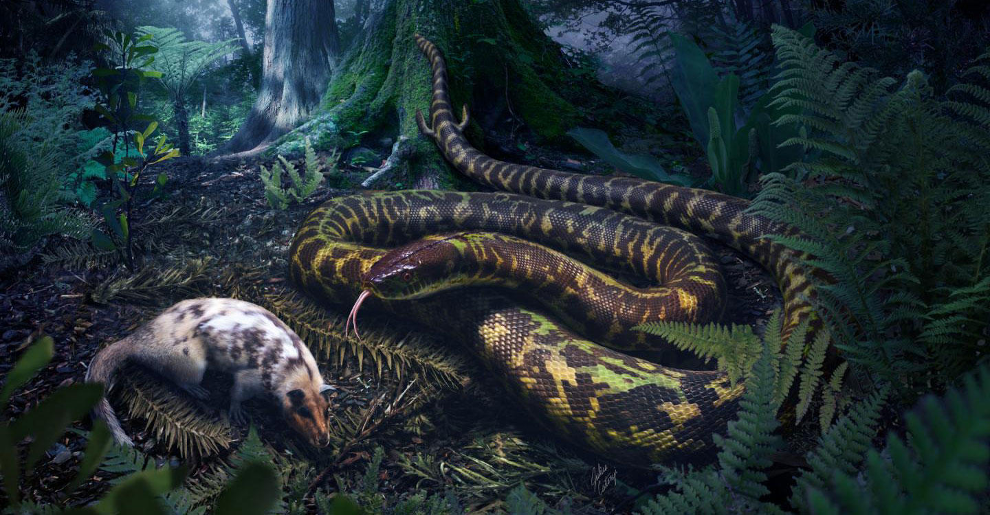 Ancient Snakes Had Ankles and Toes | Discovery Blog | Discovery