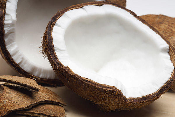 The coconut milk suppliers